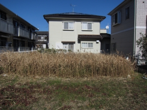 敷地　南側から北方向を見る