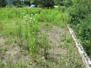 敷地　北東中央より　北西方向