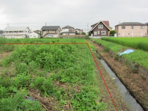 敷地　南側境界付近より　東方向