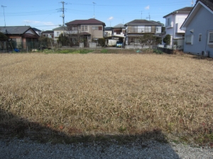 接道より　敷地北方向を見る