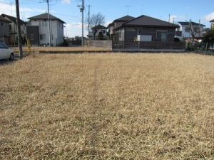 敷地　西方向の様子