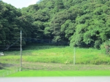 田舎暮らし 土地広(1882坪)南道路付 南面傾斜地 1780万円