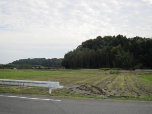 南　接道を挟んだ南側の様子（田んぼ）