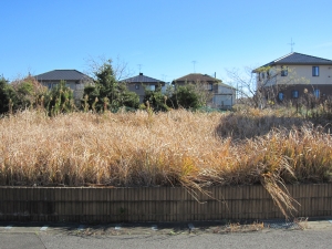 2560-10区画　接道より　東南方向