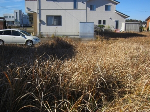 2560-10区画　東南側より　西北方向