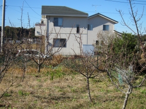 2560-10区画　東南側隣地より　西北方向