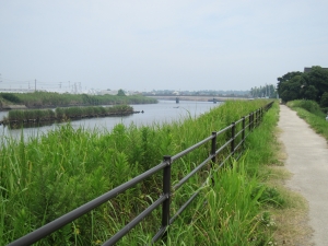 遊歩道　東（海）方向　花火が見えます