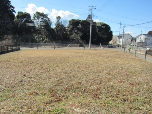 敷地　北側より　南方向を見る