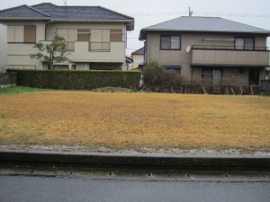 南道路より　敷地北方向