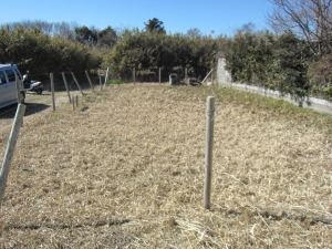 敷地　西方向を見る