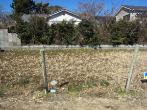 敷地　北方向を見る