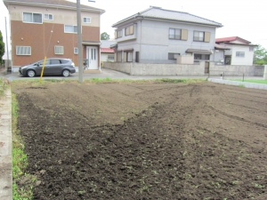 敷地　南西方向を見る