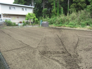 敷地　北東方向を見る