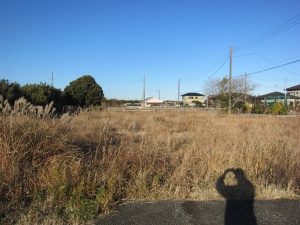 南西道路より　北東方向