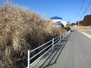 左側　敷地東南側　東接道