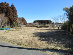 敷地　全景　東方向