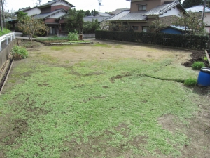 敷地　全体の様子　南東方向