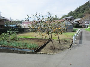 敷地　北東側より　西南方向を見る