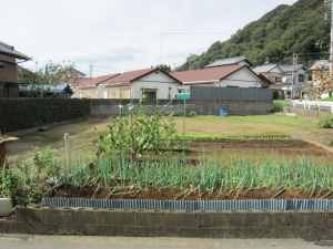 東南接道より　敷地西方向を見る