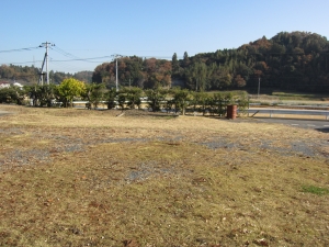 敷地　東側の眺望