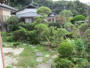 南側　庭の様子　東方向