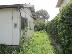 建物　西側の様子　南方向