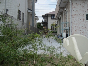 敷地　南側の砂利敷きの庭の様子