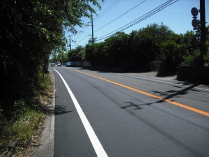 北から東接道