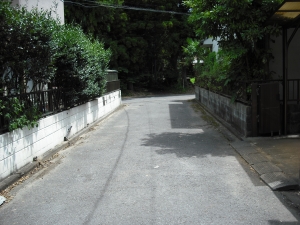 西から北接道