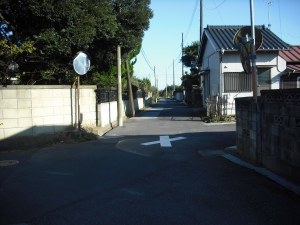 西から南接道