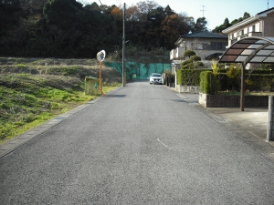 東から南接道