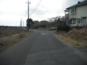 北から東接道