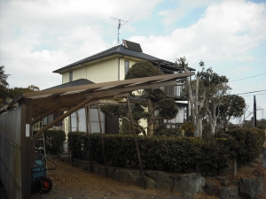 南西から建物