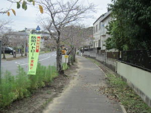 西　接道は　歩道付桜並木です　北方向