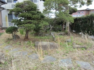 敷地　南東側　庭の様子