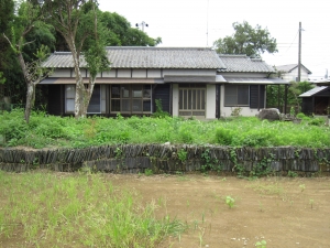 東南　外観　南側　隣地より