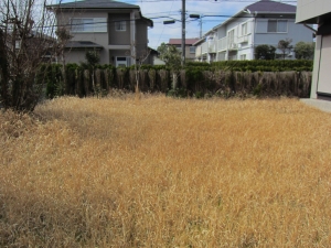 敷地　南側　庭の様子　西方向