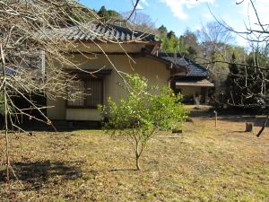 敷地　西北側より　東南方向