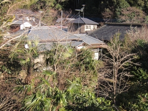 隣地　神社より　敷地を見る