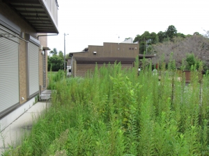 敷地　南側の様子　東方向