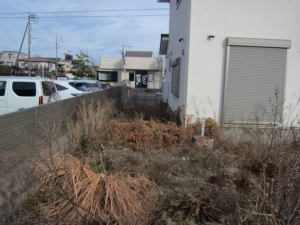 敷地　西側の様子　北方向