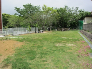 敷地　北東側　緑地（公園）の様子