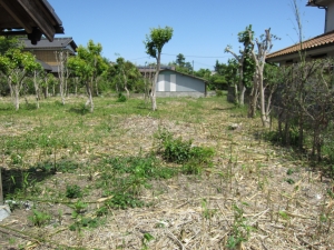 敷地　南側より東方向