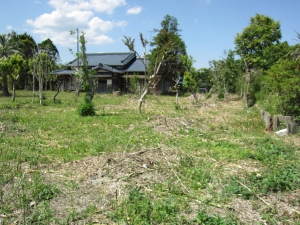 敷地　南東側より　お母屋方向