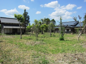 敷地　南東側より　西北方向